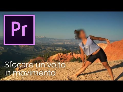 Video: Come si tiene traccia di una sfocatura in Premiere Pro?