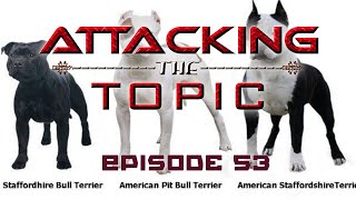 NoBull Insights Presents  Attacking The Topic E53  American Pitbull Terrier