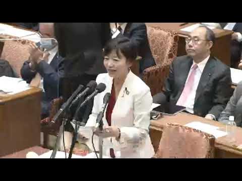 【令和5年4月19日】衆議院 環境委員会 立憲民主党・堤かなめ YouTube