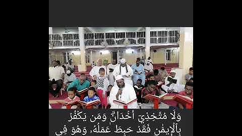 سورة المائدة الآية 1 الي الآية 11 الشيخ آدم يوسف