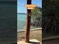 Relájate en el caribe mexicano #bacalar #cancun #caribemexicano #relajacion #vacaciones #viajes