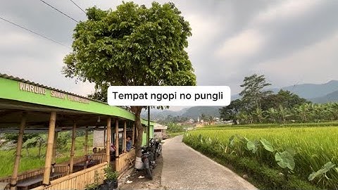 Tempat ngopi 5rb view sawah no pungli di pamijahan bogor