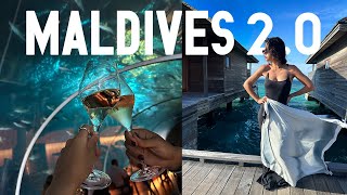 видео: Мальдивы: самый большой подводный ресторан и первый дайвинг 😍 картинка: Мальдивы: самый большой подводный ресторан и первый дайвинг 😍