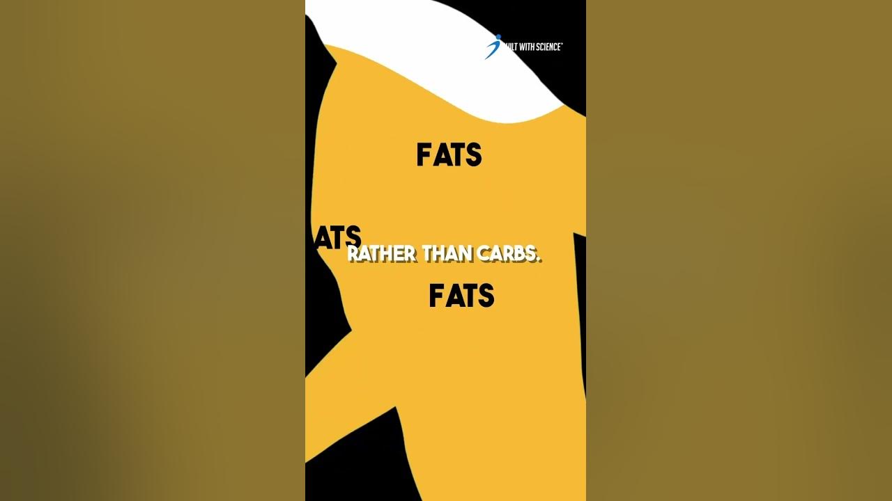 does-fasted-cardio-burn-more-fat-explained-youtube