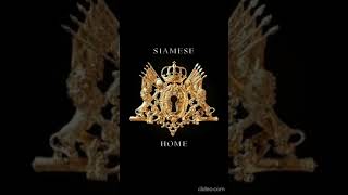 SIAMESE - HOME album lyrics