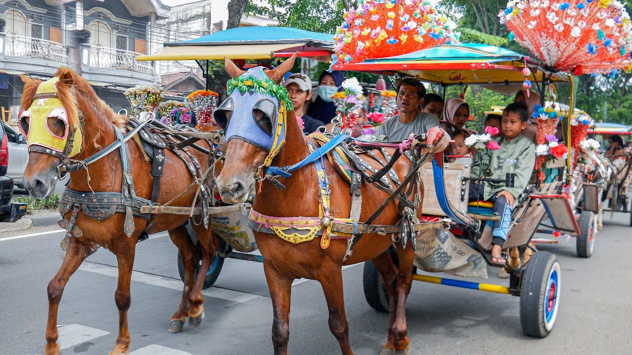 KUDA | NAIK DELMAN - NAIK KUDA | LAGU NAIK DELMAN, BALONKU ADA LIMA, ODONG-ODONG, KERETA API