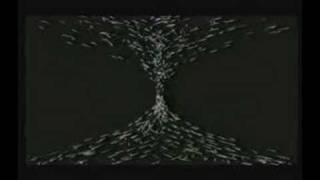 Free Energychunk7.Avi