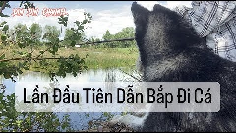 Dẫn Bắp Đi Câu Cá Ở Vuông Tôm Cà Mau/第一次去钓鱼的哈士奇狗/Husky dog ​​going fishing for the first time