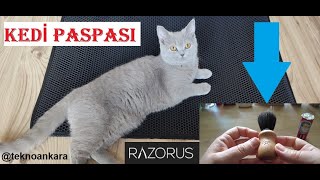 Kedi Tuvalet Önü Paspası ve At kılı Traş Fırçası #razorus #kedi #arko 👻👻👻