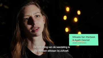 IN/BEELD — #DNGZZWB! — een bovenlokaal cultuurproject van DURF2030