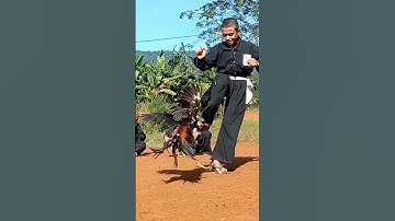 Thumbnail of WARGA BARU MULAI AKTIF