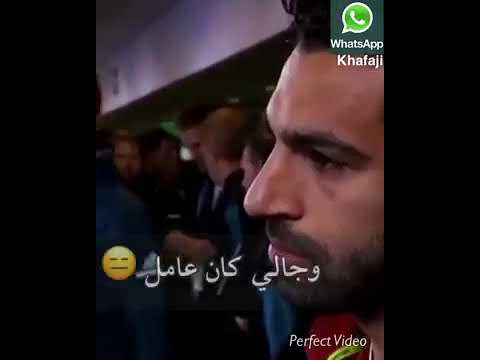 مهرجان شبح اسد وسط الغابه محمد صلاح