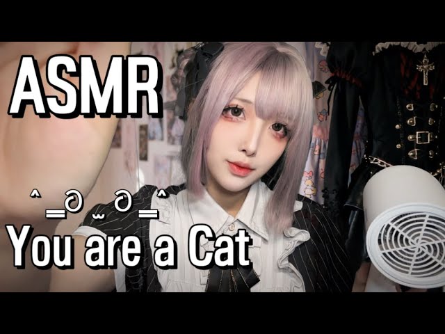 🐾Fierce Girl Turns into Gentle Pet Keeper! Kitten Bath & Cozy Day ASMR