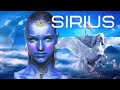 SIRIUS / Sirian Starseed Characteristics