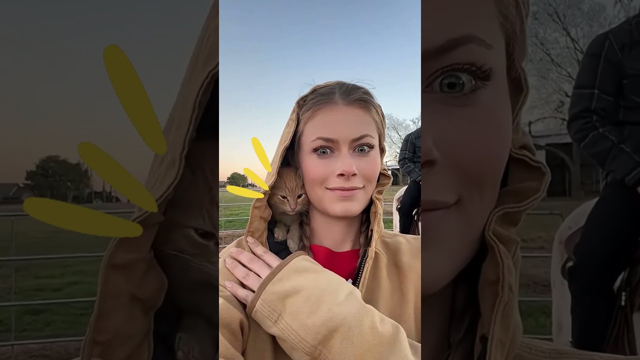 Любимица привязчивой кошки! 🥰 