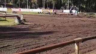 Clubcross Hummelob 08-10-20175