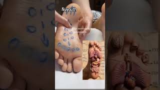 Evening Healing Routine 🔥 Yoga + Acupressure for Wellness#EveningYoga#HealingYoga#StressRelief