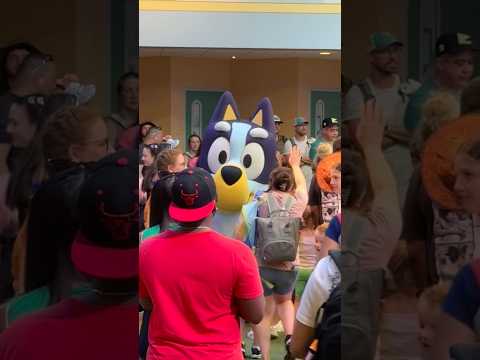 Bluey Hype is For Real #disney #bluey #bingo #disneyparks #animalkingdom #disneyworld #irwin
