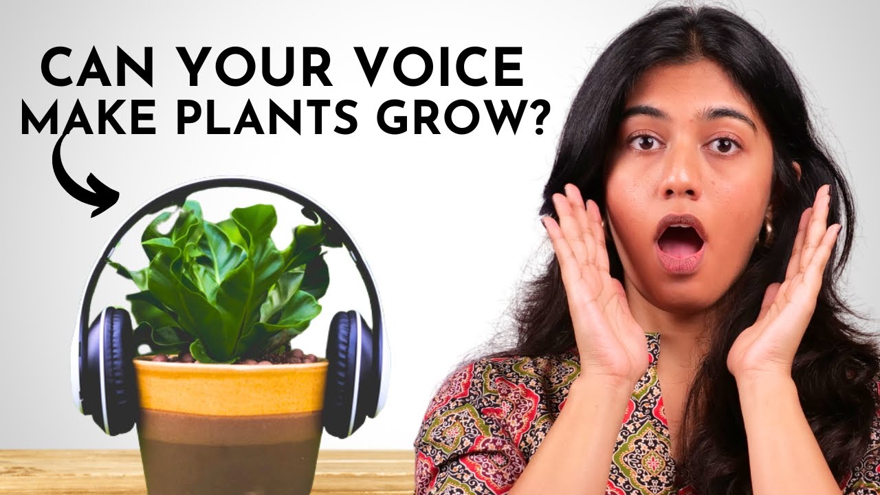 Will Your Plants Grow Faster If You Talk to Them?