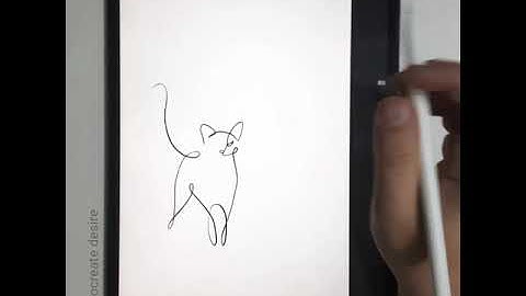 How to Draw a CAT in one Line on Procreate (Easy Tutorial!)