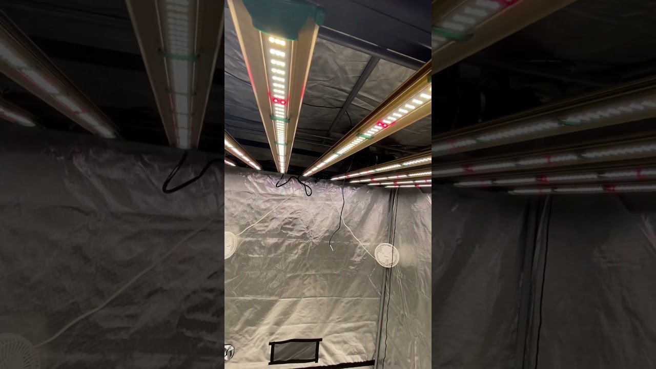 Growers Choice Roi-e720