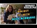 Biology 101 with Ozzy Osbourne | Ozzy & Jack's World Detour