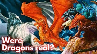 What's the REAL Reason DRAGONS Appear in Every Culture?