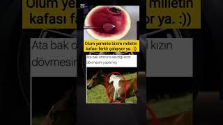 Download Lagu ata bak sen 😜 MP3 Download Lagu ata bak sen 😜 MP3