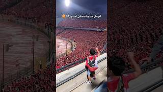 بالدم بالروح افريقيا مش هتروح ?? الاهلى افريقيا_يا_اهلى نهائي_دوري_ابطال_افريقيا