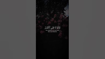 تلاوه من سورة الحج|بصوت الشيخ ياسر الدوسري🎧♥️#trending #quran #قران_كريم #راحة_نفسية #قرآن