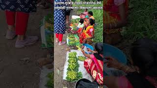 पवसळ रनभजय कठ मळतत? तर ह वहडओ अवशय बघ....