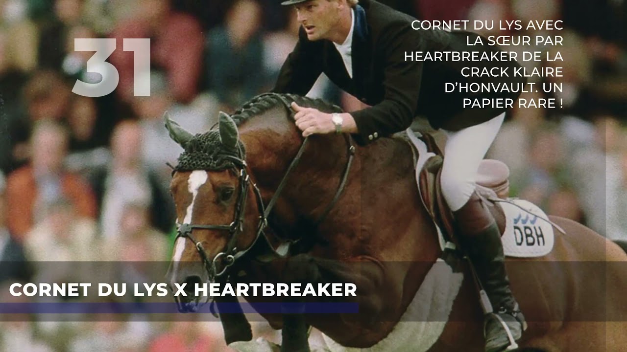 31 - CORNET DU LYS x HEARTBREAKER