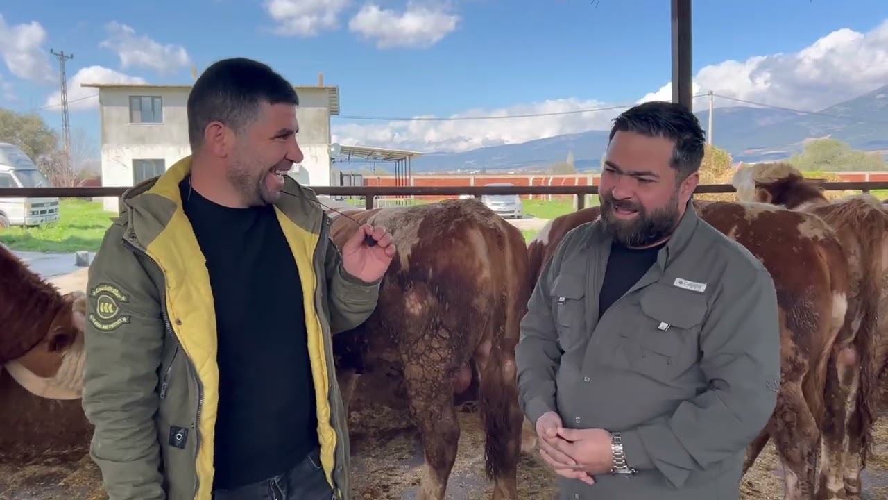 İZMİRDE 2026 KURBALIK FİYATLARI.