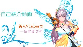 「【自己紹介】初めまして、一条雪菜です【新人Vtuber】」のサムネイル