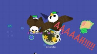 Contolling 2 eagles bringing players anywhere I want💀 | Mope.io by 😈DIY Gaming😈 338 views 3 months ago 3 minutes, 40 seconds