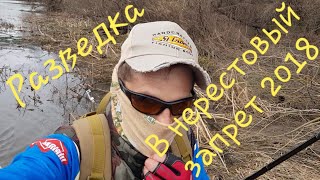 Рыболовная РАЗВЕДКА в 5ти км от Мценска, перед окончанием запрета 2018! Рыболовная РАЗВЕДКА в 5ти км от Мценска, перед окончанием запрета 2018!