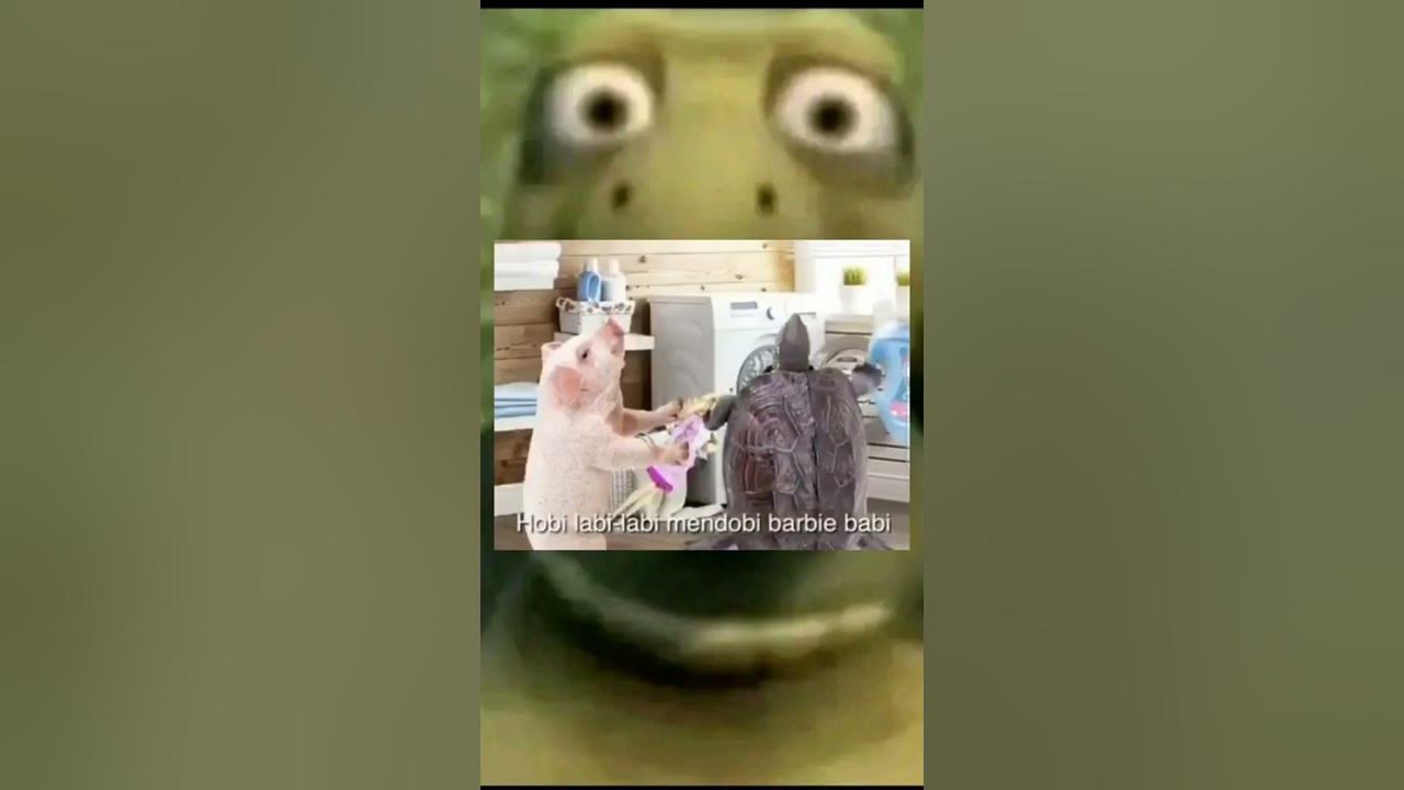 Lagu Labi Labi Dan Babi Babi Lagu Labi Labi Dan Babi Babi