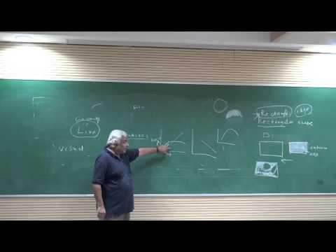 Transdisciplinary Thinking 1