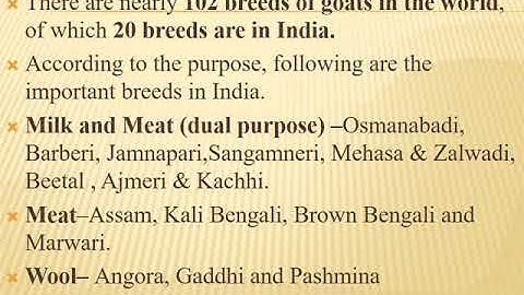 Study of Efficient cropping system by Prasad Patil
