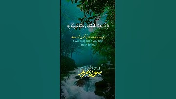 آيات قرانية من سورة مريم /2025