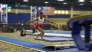 Kyle King - Vault - 2018 Winter Cup - Finals