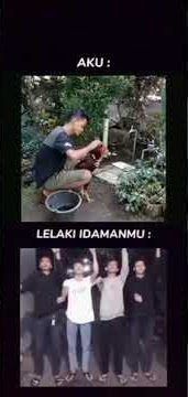 story wa penghobi ayam #storywa #ayam