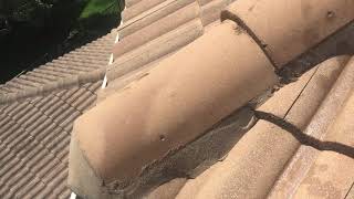 LSE - Soft wash roof cleaning 2 Story house in south Florida