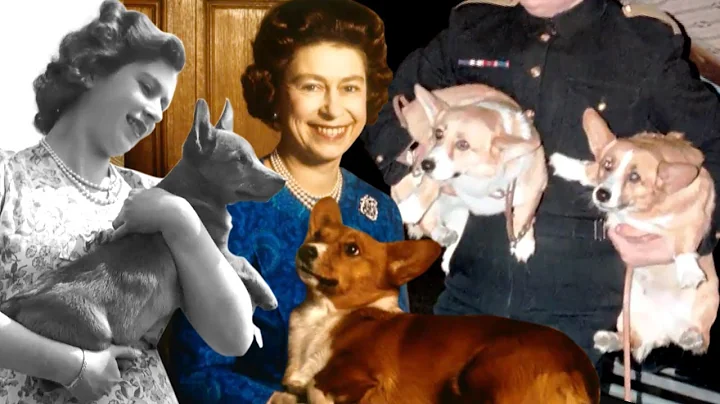 The Royal Life Of The Queen's Corgis - DayDayNews