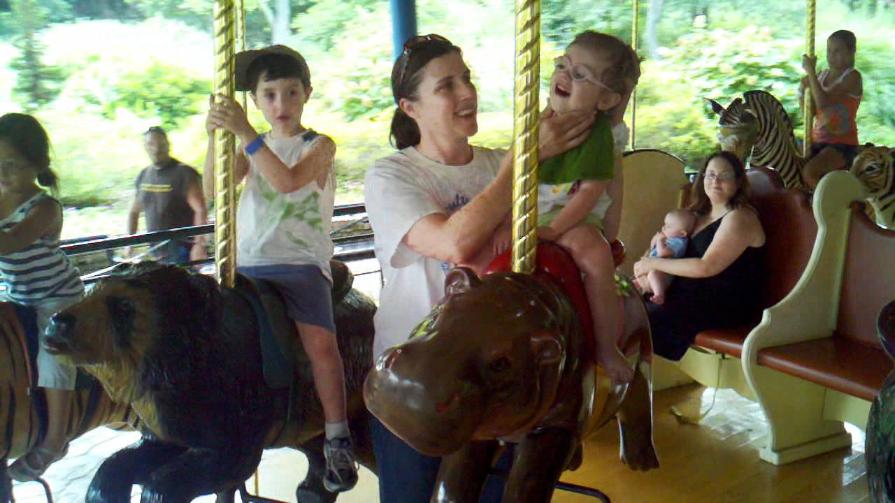 Carousel at the st louis zoo - YouTube