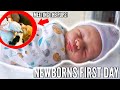 NEWBORNS FIRST DAY & MEETING THE PUPS! | Casey Holmes Vlogs