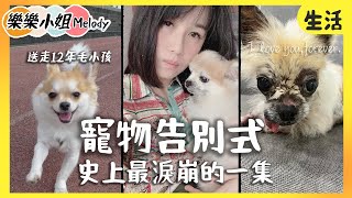 #狗狗告別式，養了十二年的 #吉娃娃 最後一程，史上流最多眼淚的一集｜樂樂小姐Melody