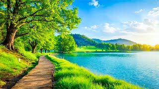 Нежная музыка, успокаивает нервную систему и радует душу 🌿 лечебная музыка для сердца и сосудов #83
