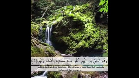 اصبحنا واصبح الملك لله القارئ: #احمد_العجمي