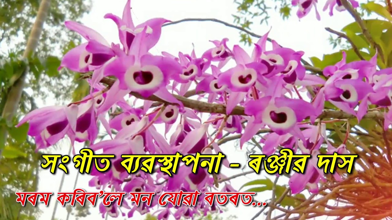 MOROM KORIBOLE MON JUA BOTOROT BY DEBAJIT CHOUDHURY